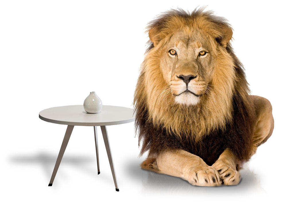 Repräsentativer Konferenzraum der Kanzlei Groll – Frankfurt am Main